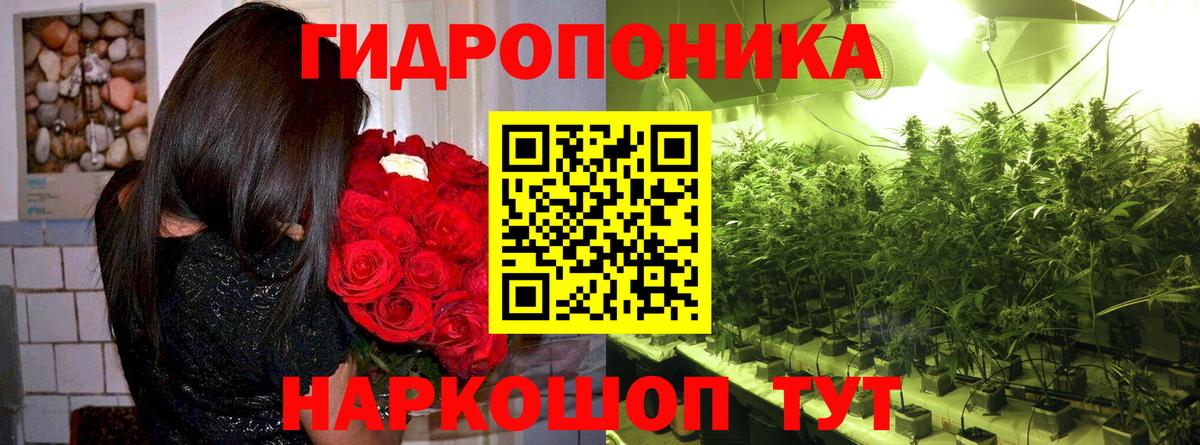 Каннабис VHQ  Конопля White Widow  Вход с VPN  Пенза 